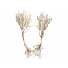 ChatGPT Image 16. 4. 2026, 12 51 06